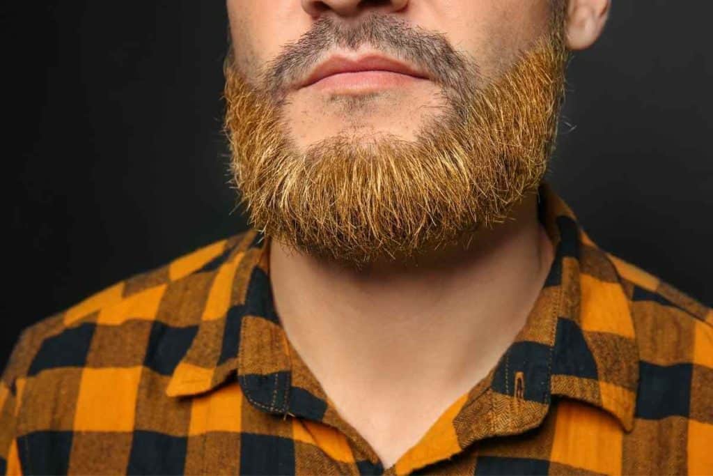 natural beard dyes