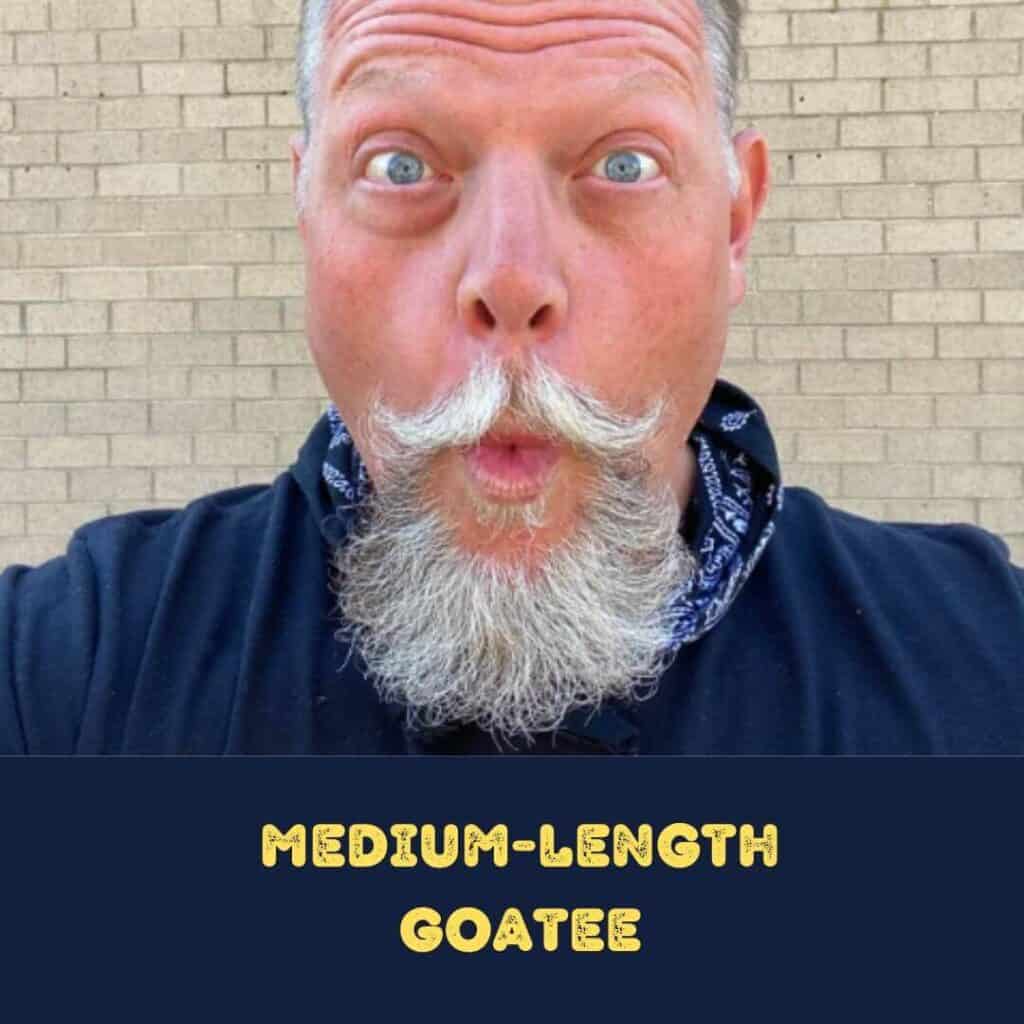 medium-length goatee