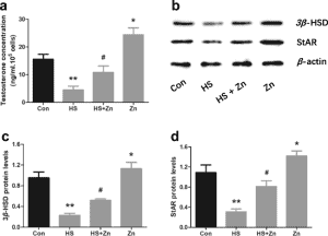 What Does Research Say About Zen Leaf CBD Gummies 300mg?